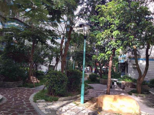 【多图】丽新花园,西丽租房,西丽地铁口50米 丽新花园2室低价出租