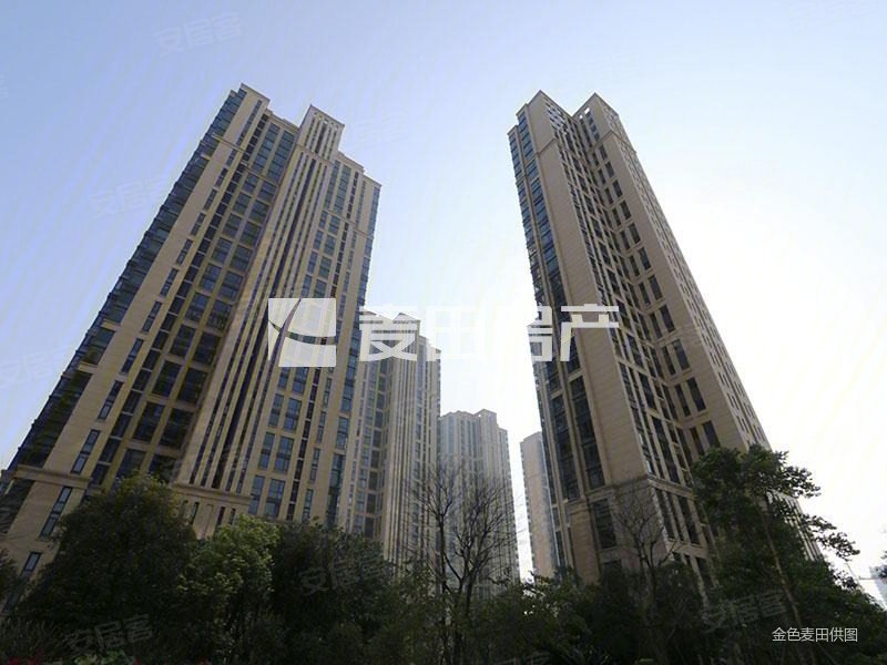 五缘湾 国贸天琴湾 大户型 大露台 房东诚意卖