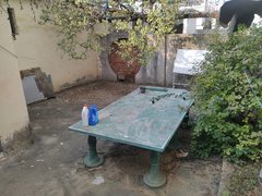 沂源城区银座一楼带院居家城商业街附近三室两厅带院子南屋一间二小水景公园旁出租房源真实图片