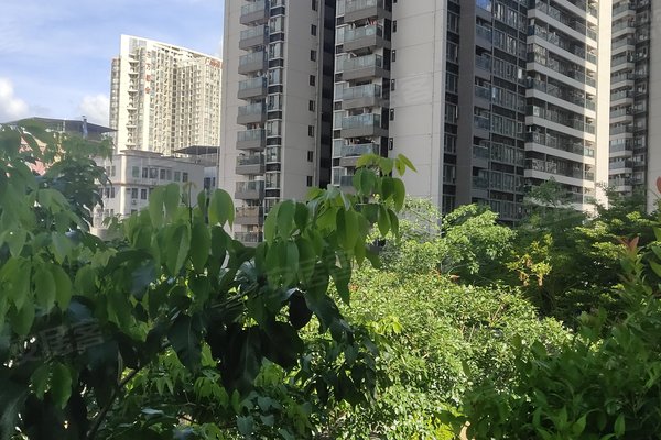 深圳小区 罗湖小区 黄贝岭小区 深业东岭