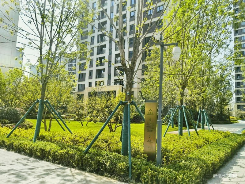 铁一  中粮奥体壹号 精装三房双卫  南北通透 小高层