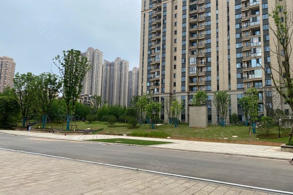 湘银星城(西区)怎么样,湘银星城(西区)周边房产中介经纪人评价-株洲