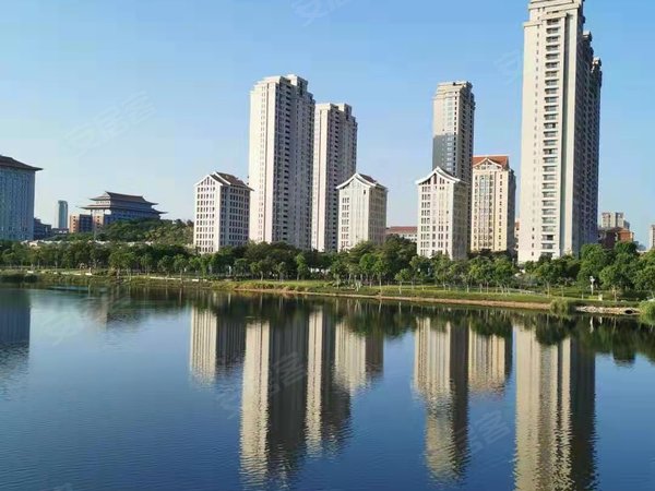 厦门集美集美新城莲花国际(商住楼)地铁口  莲花国际正规精装三房出租