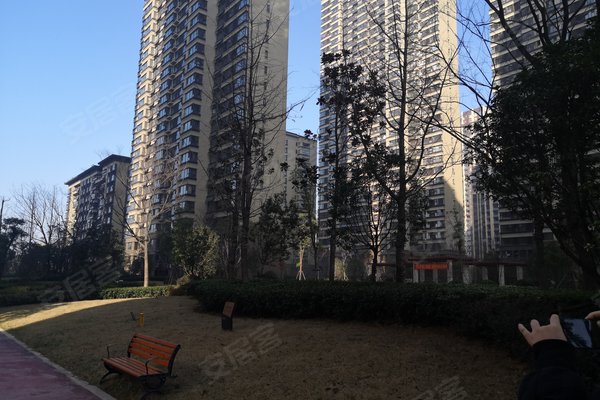 绿地海德公馆,繁华大道-合肥绿地海德公馆二手房,租房-合肥安居客