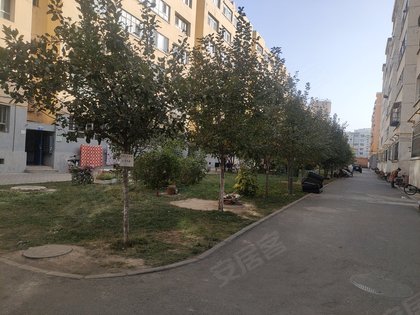 丽园小区