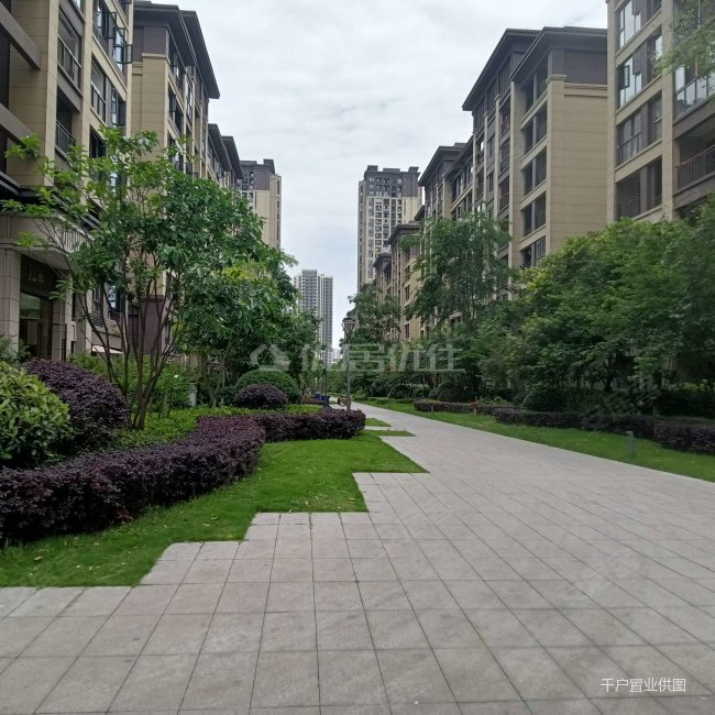 中骏雍景湾