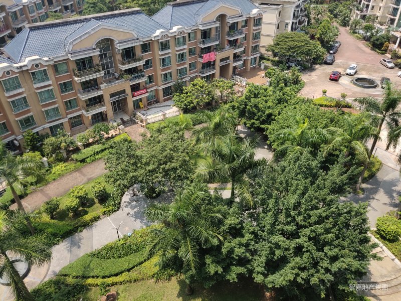 东莞房产网>东莞二手房>常平二手房>常黄路二手房>紫荆花园>800_600