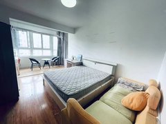 徐州云龙新淮中心无中介费 云龙华府合租主卧大阳台 采光好 大沙发出租房源真实图片