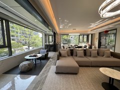 合肥滨湖新区新省府质感拉满 滨湖印 一层一户 景观洋房 L型落地窗 全景视野出租房源真实图片