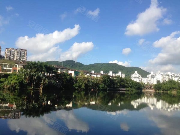 深圳龙华梅林关口星河丹堤星河丹堤b区一楼复式洋房,前后花园120平