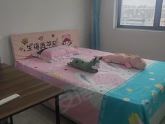 临清大辛庄清华园中学出租临清商博瑞附近女生单身公寓   女生单间出租房源真实图片