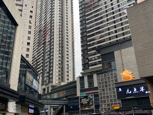 黄贝岭租房,深业东岭漂亮温馨一房一厅,还有其他房,罗湖租房-深圳58