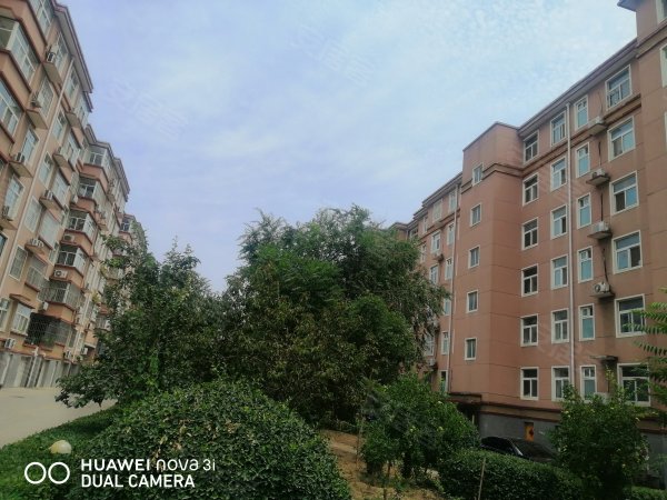 优点,不足,沧州馨泰花园