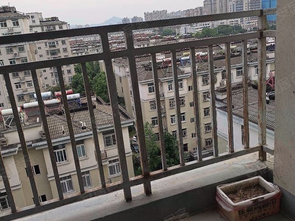 巢湖北门北门片区凤凰山庄(凤凰山路)凤凰山庄 简装电梯两房 家电齐全,拎包入住 两台空调出租房源真实图片