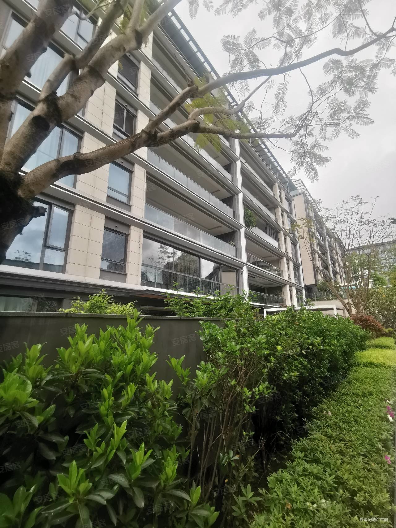 壹号半岛富人的聚集地你买的不是房子是圈层