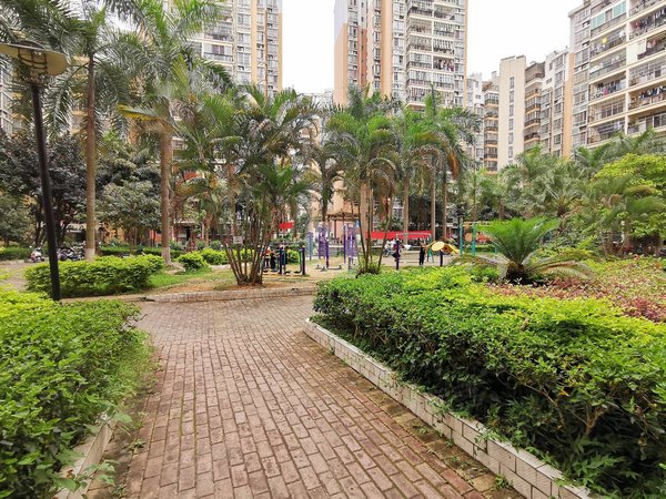 棕榈湾,安吉租房,精装 1室 整租 面议 采光通透,西乡塘租房-南宁58