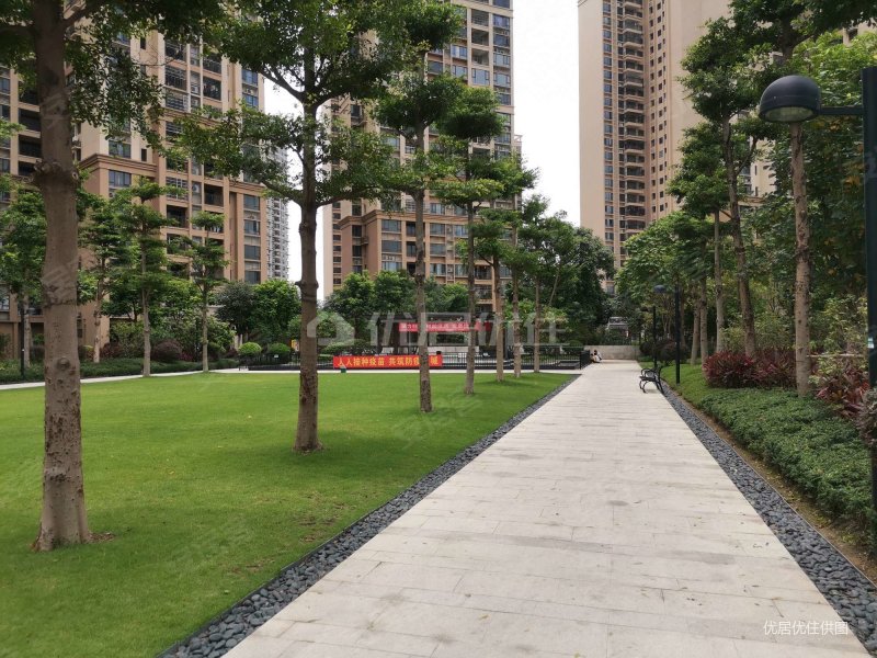 三水新城全新精装三房 环境舒适 交通便利,雅居乐雅湖半岛二手房,128