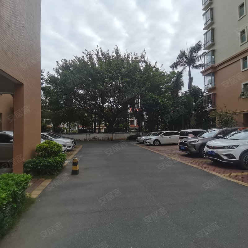 【棕榈园, 棕榈园小区专家解读页】- 茂名58同城