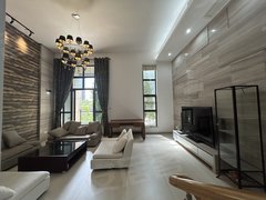 深圳龙岗龙岗中心城别墅 带电梯 卡拉OK 可商住两用 带车库花园 诚心出租出租房源真实图片