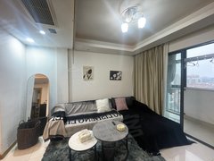 星海广场 铂金公寓精装客卧分离，一室一厅 随时可以看房
