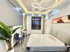 上海浦东临港新城房东破产价豪装一室欢迎咨询出租房源真实图片