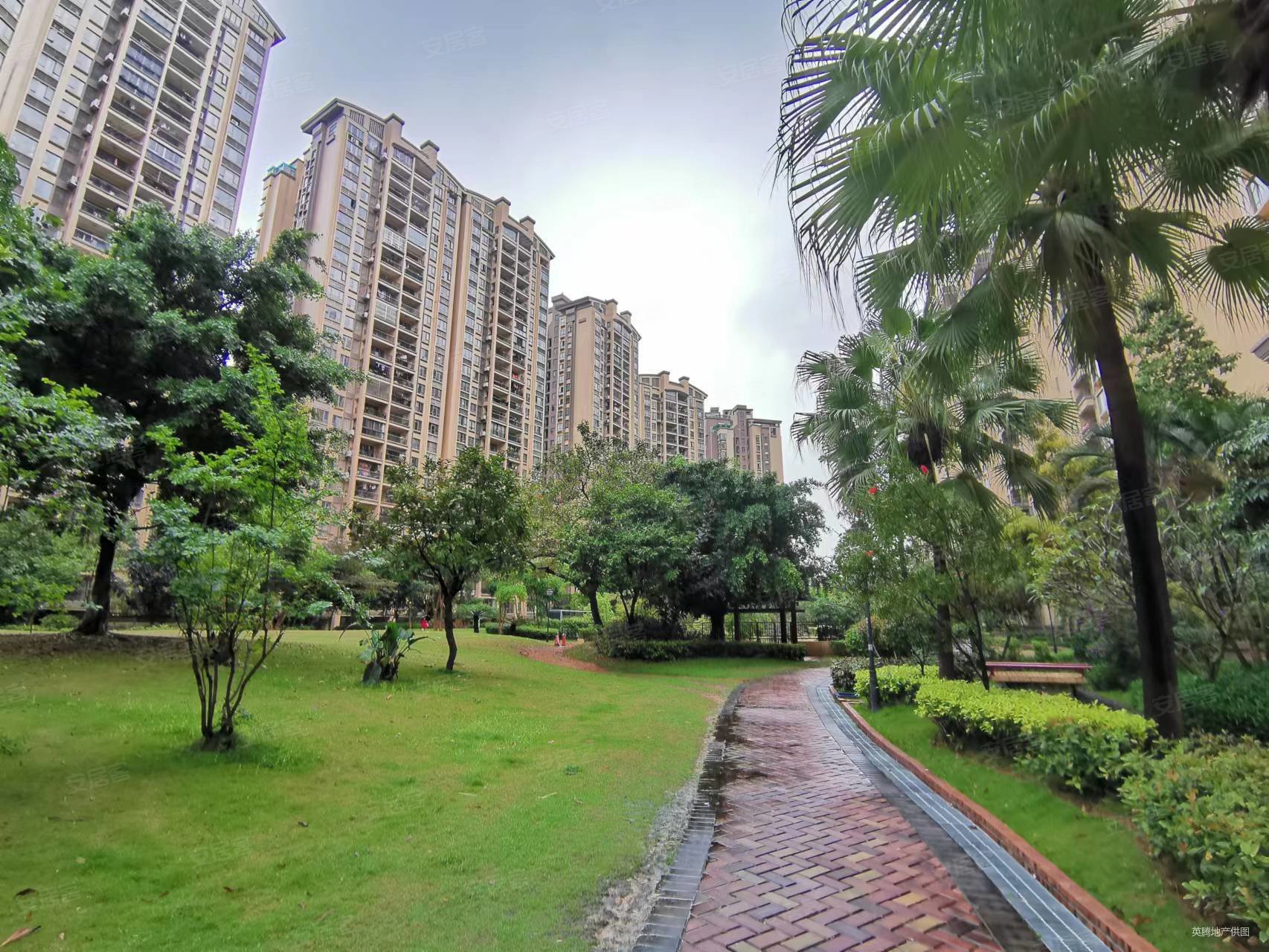 翡翠绿洲森林半岛