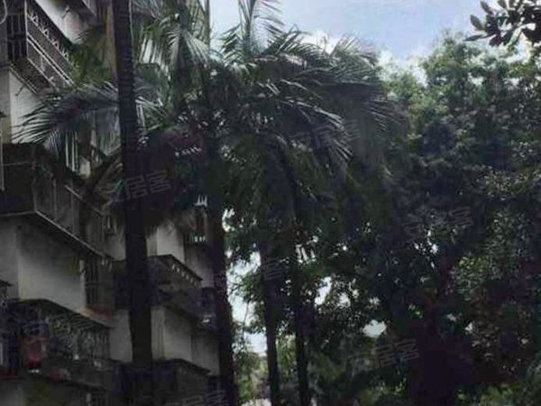 碧海湾花园超好出租,格局棒,宝安租房-深圳58安居客