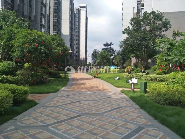 南宁邕宁邕宁周边合景天峻广场配齐1800元每月整租合景天峻广场押二付