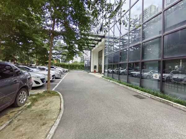 南宁青秀新竹光明大厦新竹路光明大厦  电梯两房  全新装修首租  家电