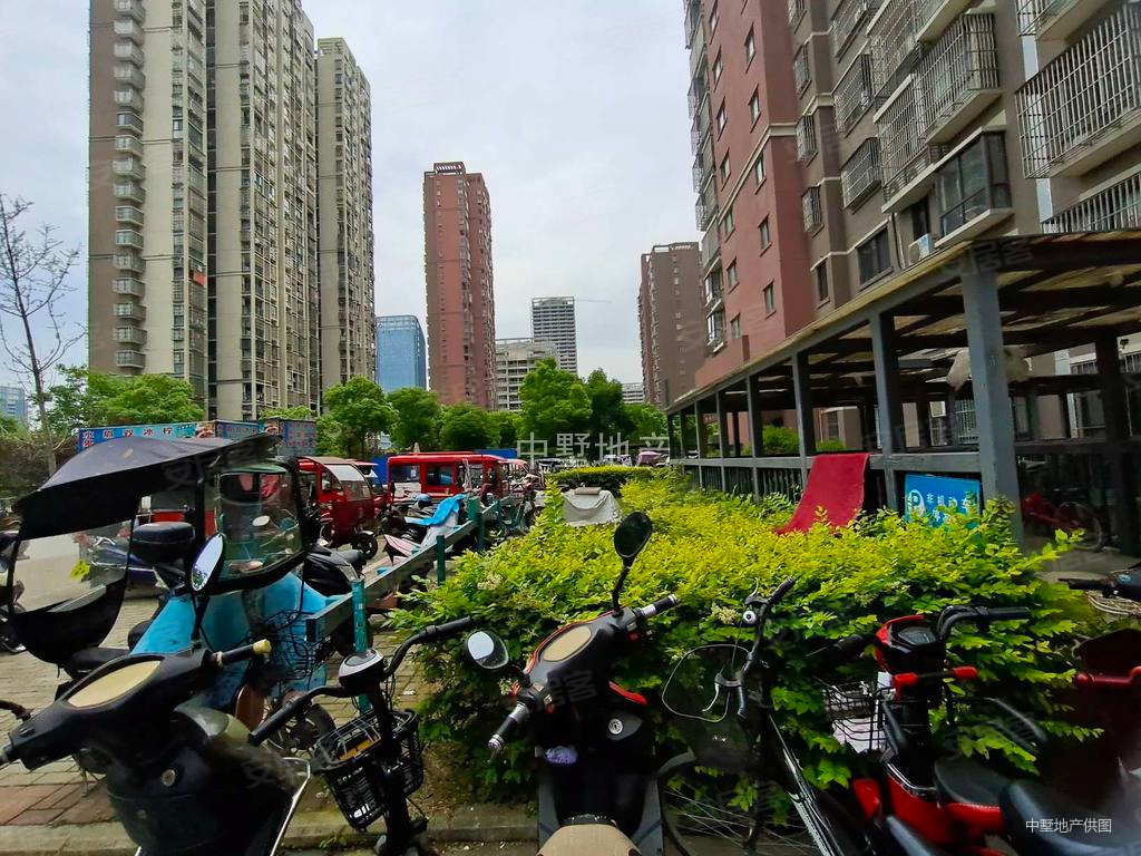 滨湖顺园(南区)3室2厅1卫100㎡南185万