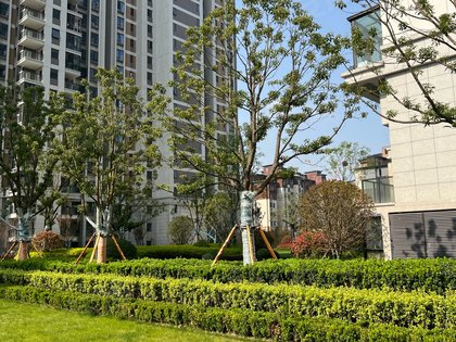 置地双清湾天御,邢庄路 - 阜阳置地双清湾天御二手房,租房,房价-阜阳