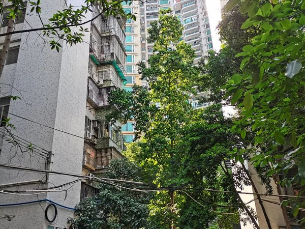 广州天河天河公园鸿运花园(天河)天河公园地铁站旁鸿运花园三房二厅