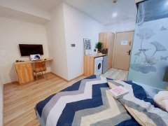 上海松江茸北9号线新城地铁站 精装一居室 拎包入住出租房源真实图片