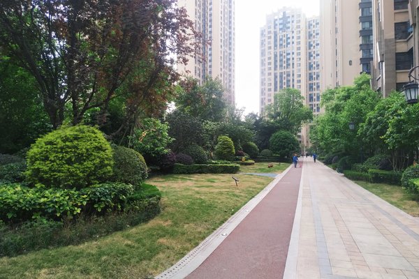 鲁能城(一期),槐树店一路300号-成都鲁能城(一期)二手房,租房-成都