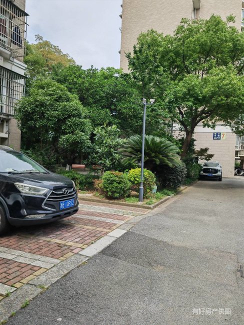 一线江景房,锦江花园,电梯房顶复,拎包入住