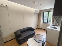 武汉洪山光谷广场珞雄路地铁口~押一付一~精装修~光谷步行街~关山荷兰风情园~出租房源真实图片