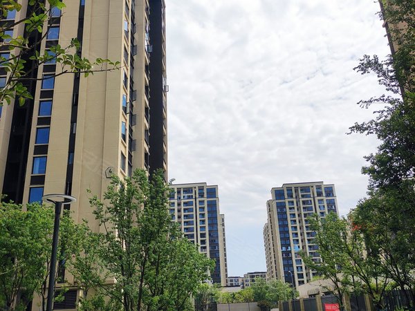 重庆璧山绿岛新区朗诗未来时光朗诗未来时光 3室2厅2卫出租房源真实