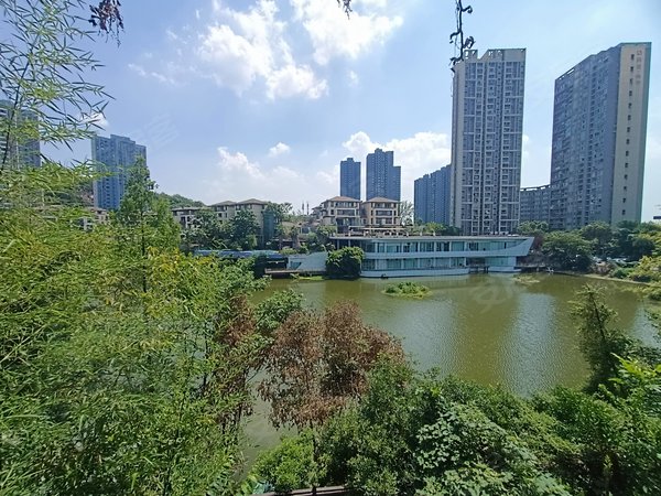 重庆渝北翠云建工未来城(别墅)3号线翠云轻轨旁联排别墅 一线临湖 带