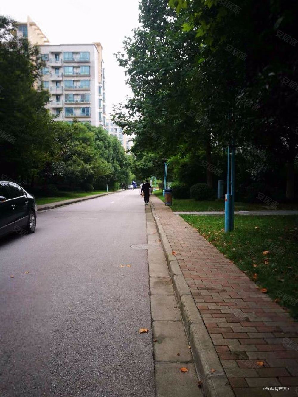 南京南站 花神湖畔 仁恒品质 园林小区 宜教宜居,仁恒翠竹园二手房