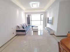 佛山南海里水新希望奥园金沙公馆 家电齐全 精装修 电梯房出租房源真实图片