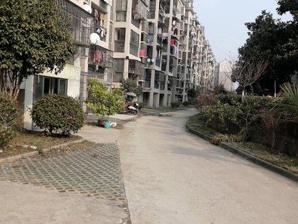 铜陵东城家园图片