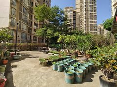 东莞南城西平国际公馆三期精装三房 带150平超大露台 位置安静 居住舒适出租房源真实图片