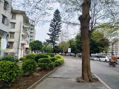 台山台城台城城区富丽园 2室1厅2卫出租房源真实图片