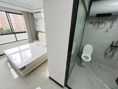 苏州工业园双湖苏州中心！温馨小公寓 独厨独卫 设施齐全 朝南 采光好 干净出租房源真实图片