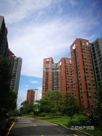 白蕉中心 万科魅力之城 人气小区大四房 小区专家为您服务