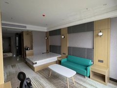 毕节七星关七星关城区碧阳国际 精装单身公寓 带空调 停车方便出租房源真实图片