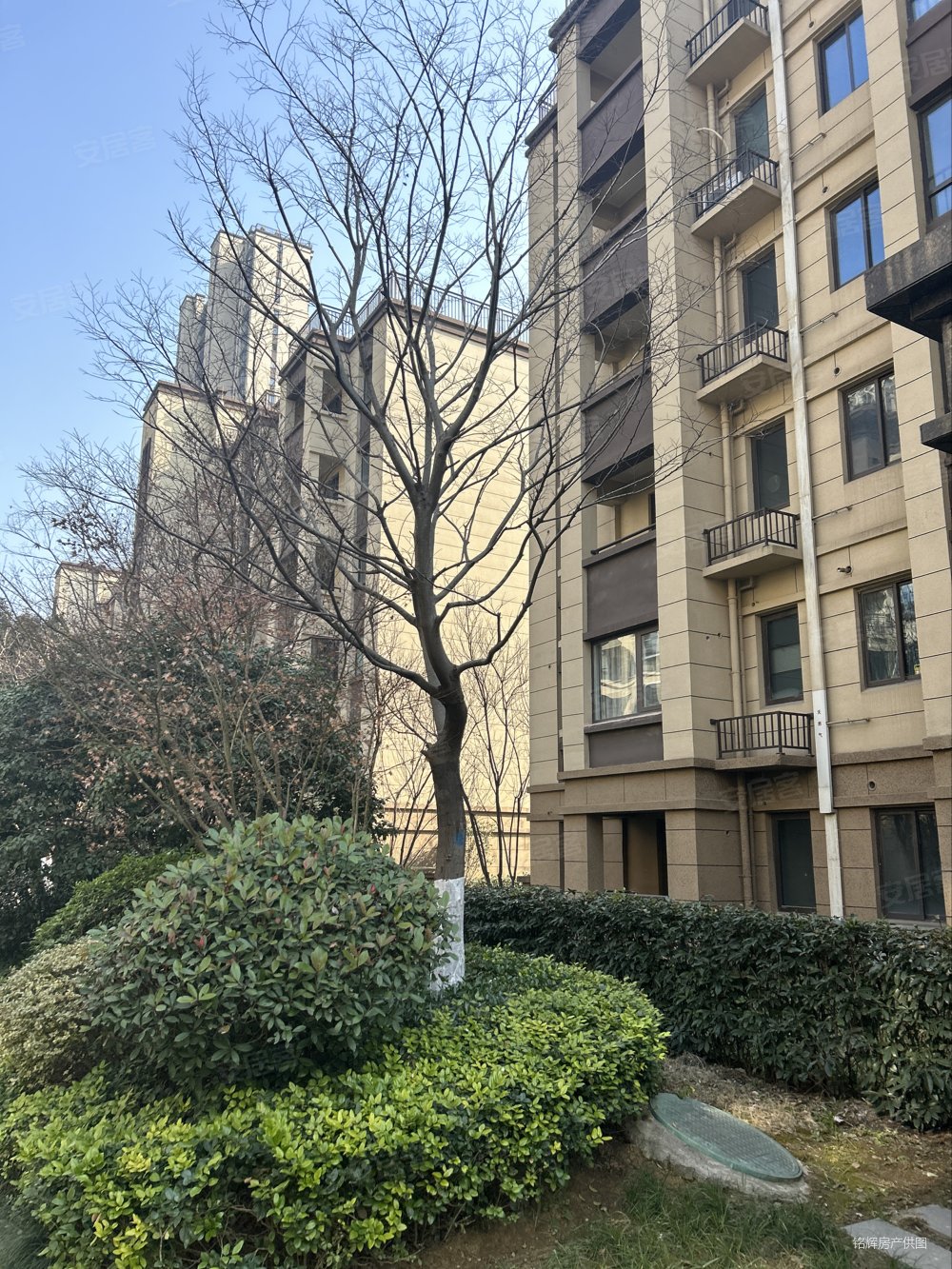 弘阳昕悦府5室2厅2卫143.29㎡南北110.8万