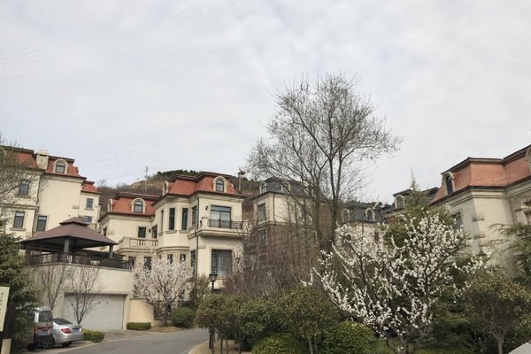 海信依云谷(别墅)