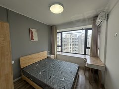 合肥政务合肥八中万象城 天鹅湖 奥体中心 天珑广场 新地中心 置地广场出租房源真实图片