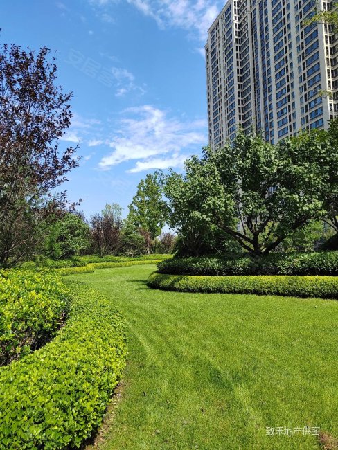 融创青岛湾琴湾